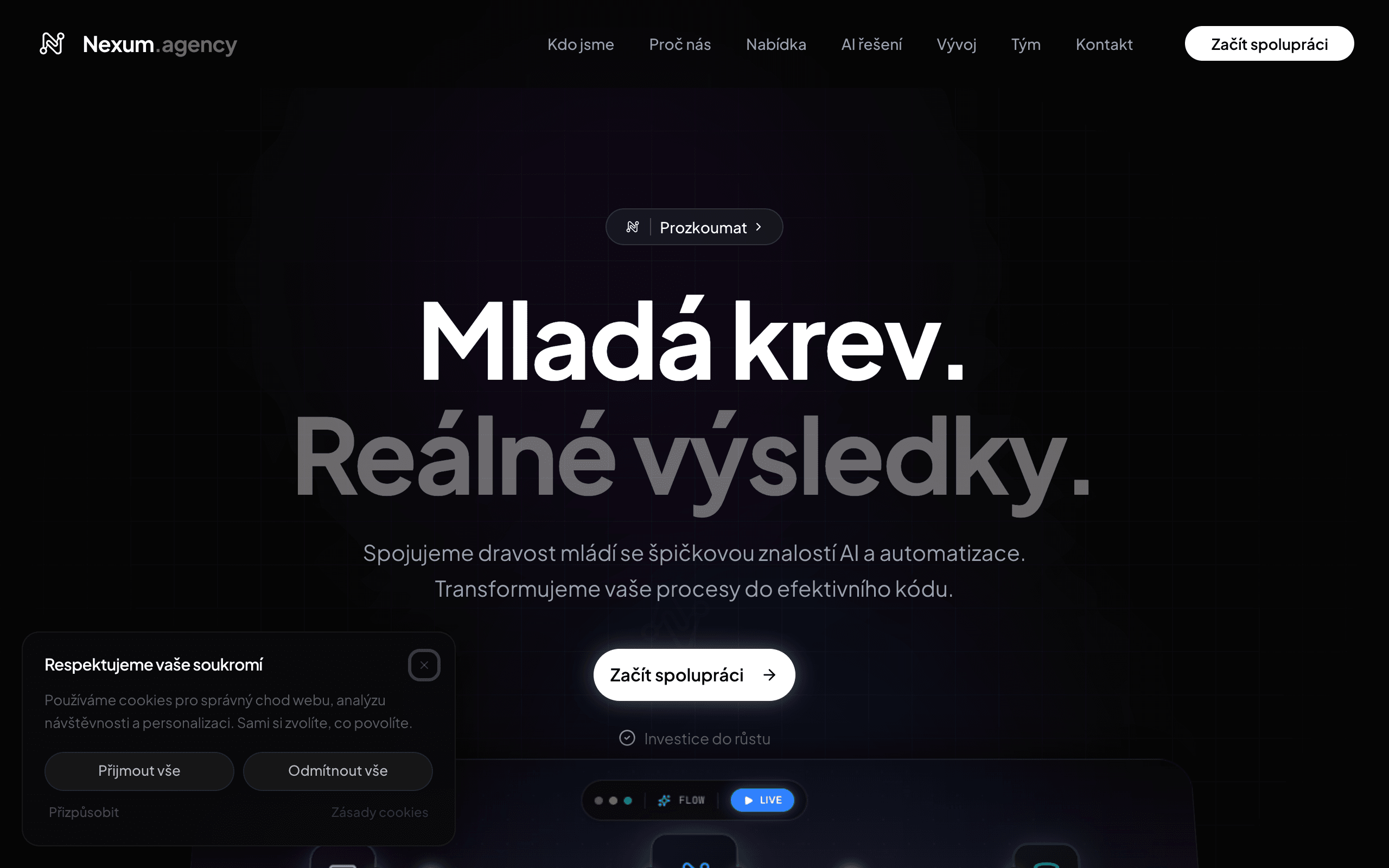 Nexum Agency — náhled webu