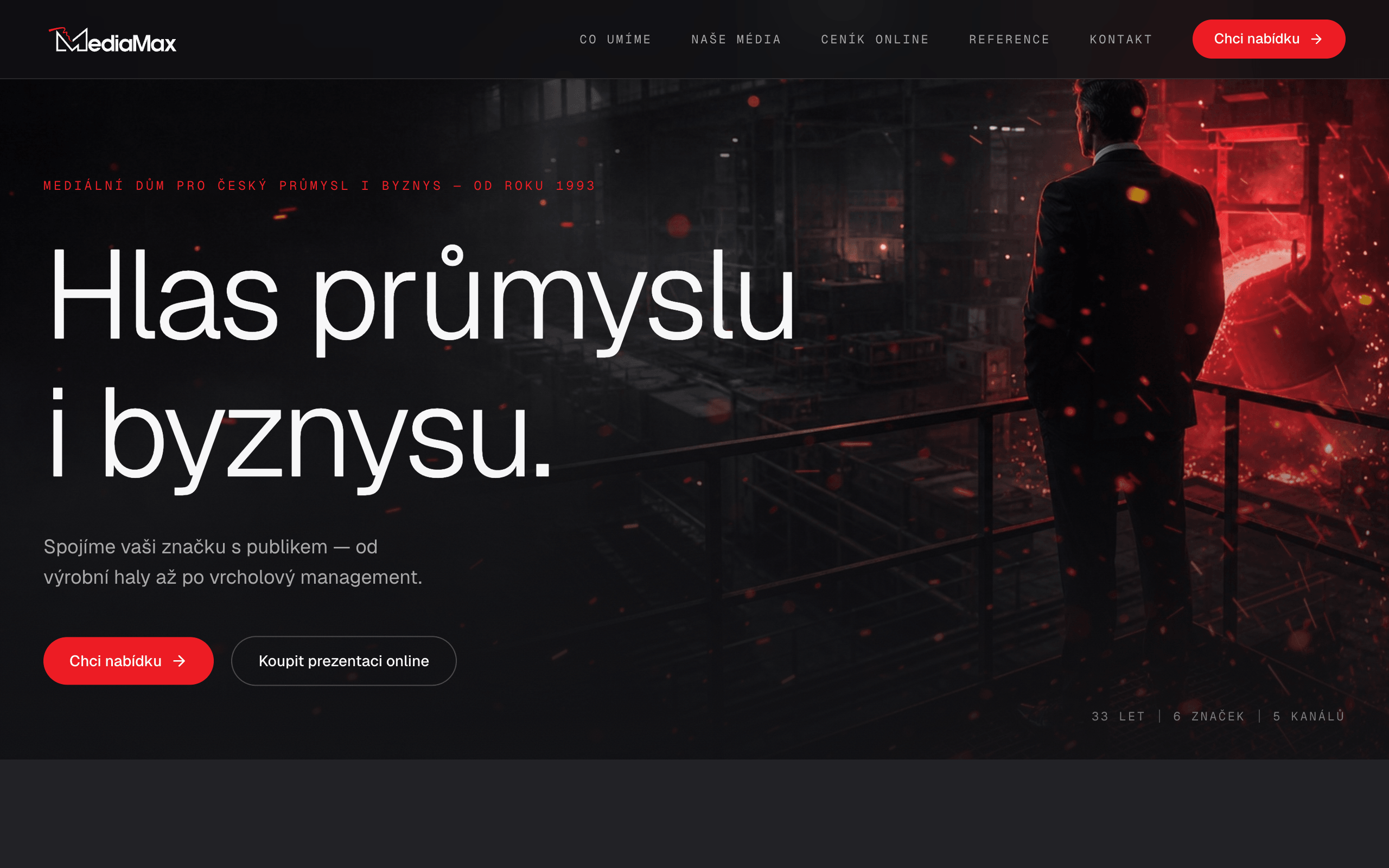 MediaMax: náhled webu