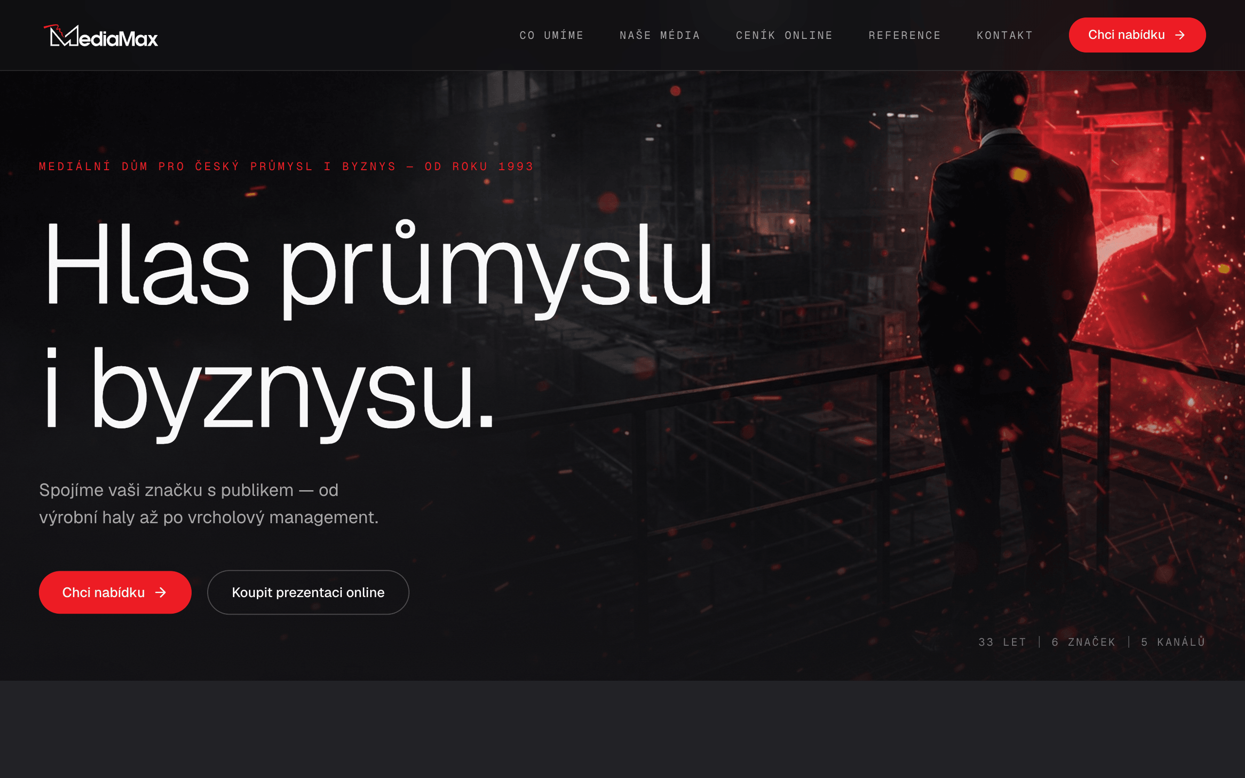 MediaMax: náhled webu