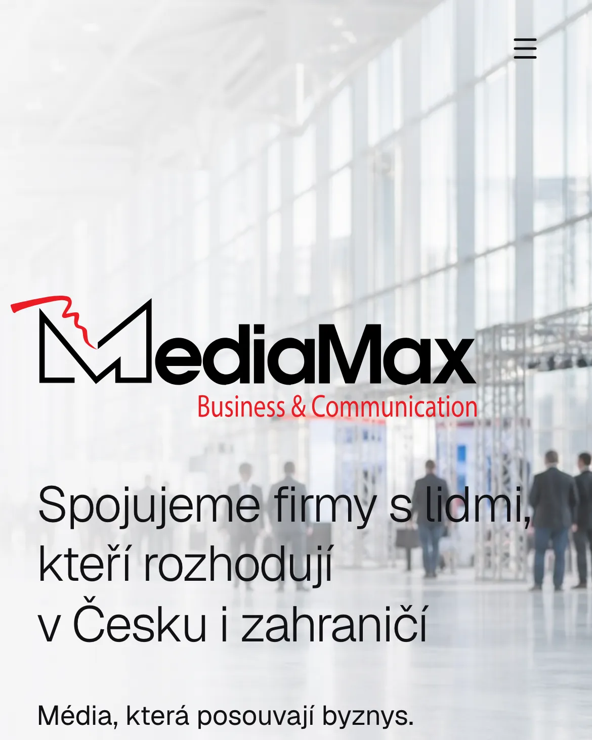 MediaMax: náhled webu